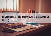 区块链公司文化衫都是什么样子的[文化区块链cib]